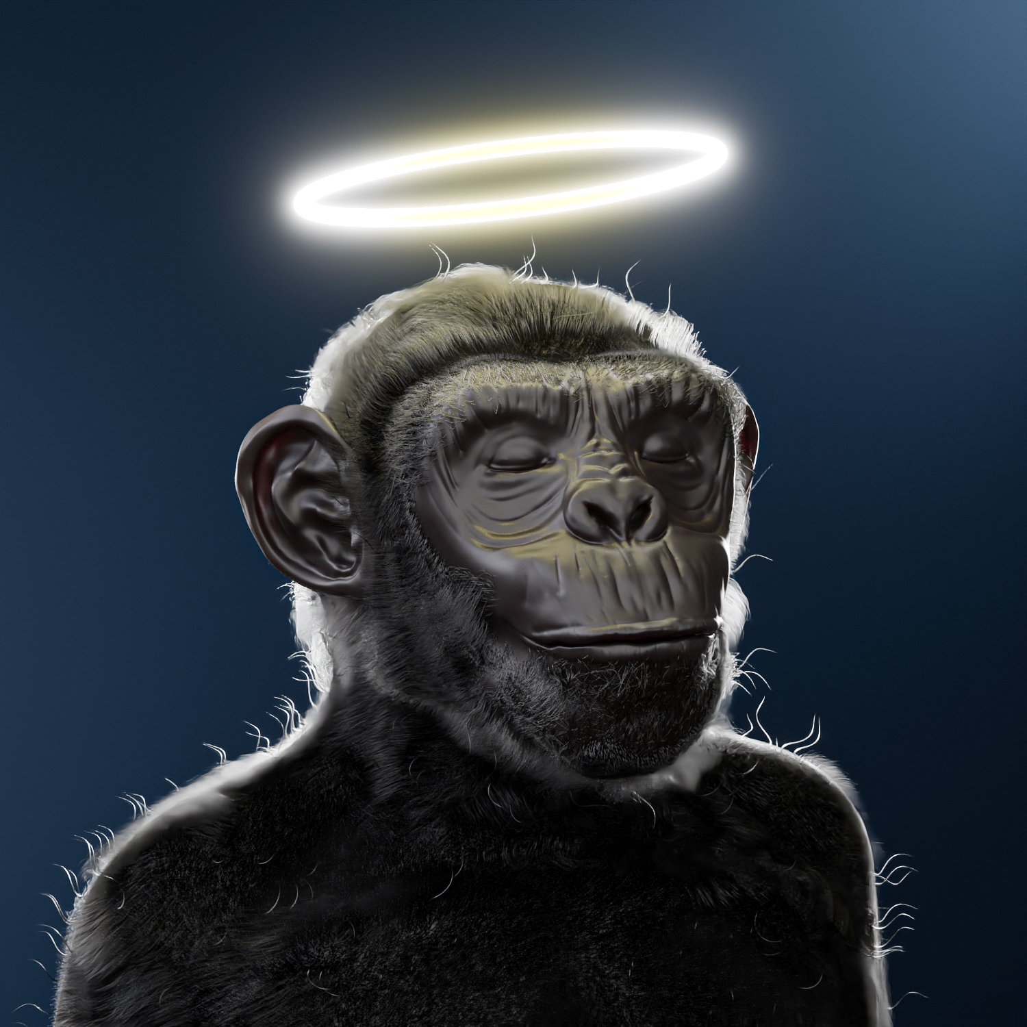 Degen Monkey #43 | NFTb